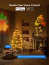 Bild av Govee Christmas Lights 20m